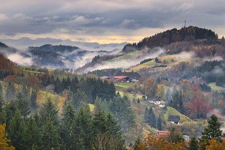 Schwarzwald-Elsass Tour (Unterhaltung / Freizeit | Ensisheim)