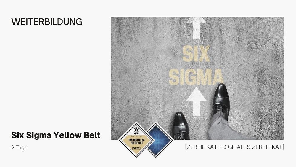 Six Sigma Yellow Belt Training | Seminar | Ausbildung (Seminar | Frankfurt am Main)