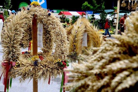 Einladung zum Pressefrühstück (Pressetermin | Erfurt)